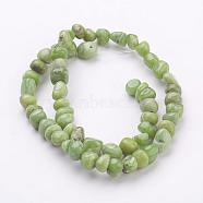 Natural Peridot Beads Strands, Olive, Size: about 6~7mm wide, 5~8mm long, 5~6mm thick, hole: 1mm, about 67pcs/strand, 16 inch(G-N165-13)
