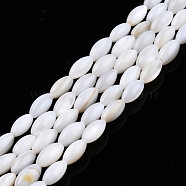 Natural Freshwater Shell Beads Strands, Rice, 7.5x4mm, Hole: 0.8mm, about 51~52pcs/strand, 14.96 inch~15.16 inch(38~38.5cm)(SHEL-N026-212-A01)