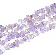 Natural Ametrine Beads Strands, Chip, 5~11x3~9x1~9mm, Hole: 1mm, about 200~300pcs/strand, 33.8 inch(G-S314-15)