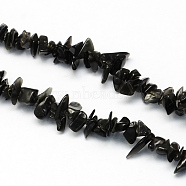 Natural Black Stone Bead Strands, Chip, 3~9x3~6x1~4mm, Hole: 1mm, about 350pcs/strand, 34.6 inch(G-R192-A16)