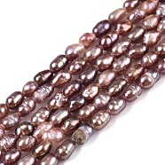 Natural Cultured Freshwater Pearl Beads Strands, Rice, Old Rose, 2.5~4.5x1.5~2.5mm, Hole: 0.5mm, about 79~81pcs/strand, 13.78 inch(35cm)(PEAR-N012-02H-02)