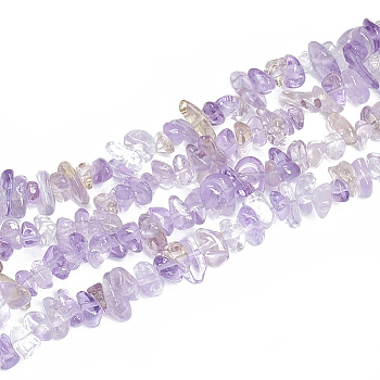 Natural Ametrine Beads Strands, Chip, 5~11x3~9x1~9mm, Hole: 1mm, about 200~300pcs/strand, 33.8 inch