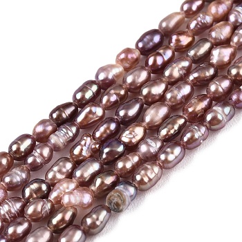 Natural Cultured Freshwater Pearl Beads Strands, Rice, Old Rose, 2.5~4.5x1.5~2.5mm, Hole: 0.5mm, about 79~81pcs/strand, 13.78 inch(35cm)