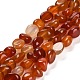 Natural Carnelian Beads Strands(G-L595-B01-01)-1