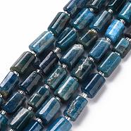 Natural Apatite Beads Strands, Faceted, Column, 8~11x6~8x5~7mm, Hole: 1mm, about 15~17pcs/strand, 7.28~7.48 inch(X-G-S345-8x11-003)