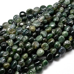 Natural Moss Agate Nuggets Beads Strands, Tumbled Stone, 4~8x6~9x5~7mm, Hole: 1mm, about 15.3 inch~15.7 inch(G-J336-18)