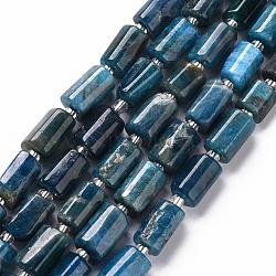 Natural Apatite Beads Strands, Faceted, Column, 8~11x6~8x5~7mm, Hole: 1mm, about 17pcs/strand, 7.48 inch(X-G-S345-8x11-003)