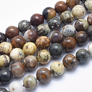 Natural Pietersite Beads Strands, Round, 8mm, Hole: 1mm, about 49pcs/strand, 15.7 inch(G-K256-49-8mm)
