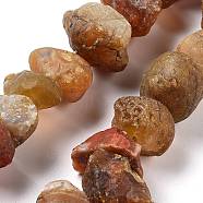 Raw Rough Natural Botswana Agate Beads Strands, Nuggets, 9~17x7~16x8~14mm, Hole: 0.9mm, about 21~25pcs/strand, 7.09''~7.87''(18~20cm)(G-P528-A19-01)
