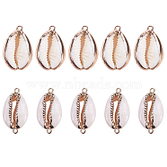 Electroplate Cowrie Shell Links, with Cowrie Shell Pendants, Golden, 23~30x13~19x10~13mm, hole: 1.5mm, 28~30x14~16x7.5mm, hole: 1.5mm, 10pcs/box(SSHEL-SC0001-01G)