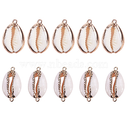 Electroplate Cowrie Shell Links, with Cowrie Shell Pendants, Golden, 23~30x13~19x10~13mm, hole: 1.5mm, 28~30x14~16x7.5mm, hole: 1.5mm, 10pcs/box(SSHEL-SC0001-01G)