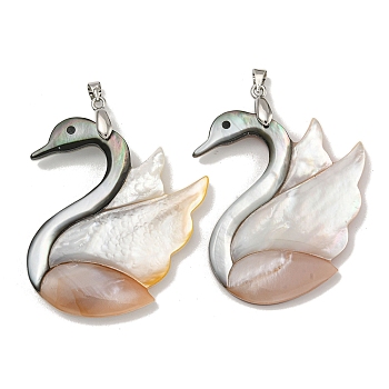 Natural Paua Shell & White Shell Pendants, Swan Charms with Rack Plating Brass Snap on Bails, Platinum, 45x44.5x4.5mm, Hole: 5x2.5mm