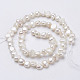Natural Cultured Freshwater Pearl Beads Strands(PEAR-P002-54)-2