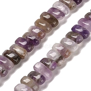 Natural Amethyst Beads Strands, Rectangle, 9x4x4.5mm, Hole: 1mm, about 93pcs/strand, 15.28 inch(38.8cm)(G-Q167-B12-01)