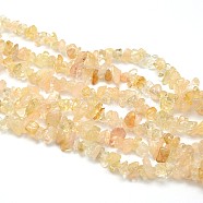 Natural Citrine Beads Strands, Dyed & Heated, Chips, 5~8x5~8mm, Hole: 1mm, about 31.5 inch(X-G-O049-B-29)