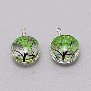 Dried Flower Inside Glass Pendant, with Iron Findings, Flat Round with Tree of Life Pattern, Lawn Green, 22x16x10mm, about 2pcs/set.(GLAA-WH0031-02E)