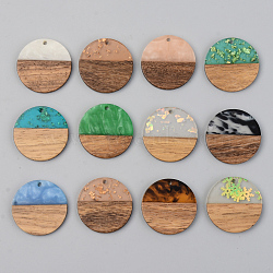 Resin & Walnut Wood Pendants, Flat Round, Mixed Color, 28x3mm, Hole: 2mm(RESI-S389-025A)