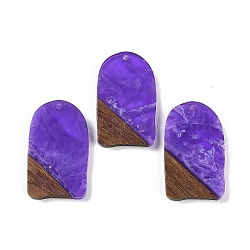 Resin & Wood Pendants, Arch Charms, Blue Violet, 38x22.5x3.5mm, Hole: 2mm(WOOD-F015-13D)