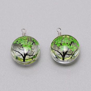 Dried Flower Inside Glass Pendant, with Iron Findings, Flat Round with Tree of Life Pattern, Lawn Green, 22x16x10mm, about 2pcs/set.