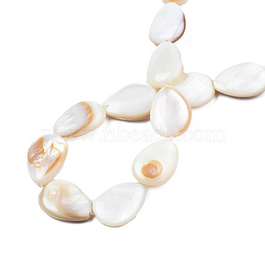 Shell normal de perles blanches de brins(X-PBB263Y-1)-7