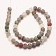 Natural African Bloodstone Beads Strands(G-P295-05-10mm)-2