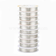 Copper Jewelry Wire, Long-Lasting Plated, Silver Color Plated, 20 Gauge, 0.8mm, about 9.84 Feet(3m)/roll(CWIR-Q006-0.8mm-S)