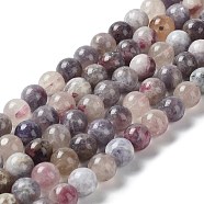 Natural Plum Blossom Tourmaline Beads Strands, Round, 10mm, Hole: 1mm, about 39pcs/strand, 15.39''(39.1cm)(G-I355-01C-01)