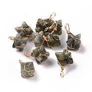 Natural Labradorite Copper Wire Wrapped Pendants, Merkaba Star Charms, Golden, 26~31x20~21x13~15mm, Hole: 5~5.5mm(G-B041-02G-18)