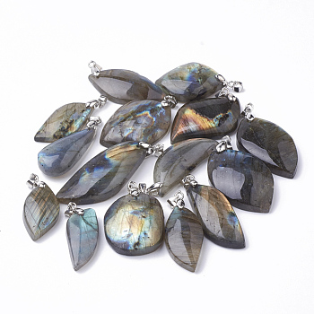 Natural Labradorite Pendants, with Platinum Tone Brass Findings, Nuggets, 20~45x13~35x5~10mm, Hole: 3.5x4.5mm