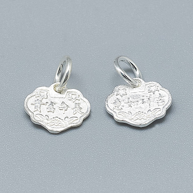 925 Sterling Silver Charms(STER-T002-101S)-2