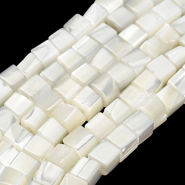 Natural Trochid Shell/Trochus Shell Beads Strands(SHEL-C010-05B)-1