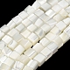 Natural Trochid Shell/Trochus Shell Beads Strands(SHEL-C010-05B)-1
