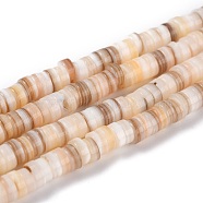 Natural Shell Beads, Flat Round/Disc, Heishi Beads, Linen, 5x1.5~3mm, Hole: 0.8~1mm, about 167~214pcs/strand, 15.55~15.94''(40.5cm)(BSHE-B003-13A-01)