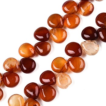 Natural Red Agate Beads Strands, Teardrop, Top Drilled, 12~12.5x10~11x5~5.5mm, Hole: 1~1.2mm, about 33pcs/strand, 8.86~10.2''(22.5~25.5cm)