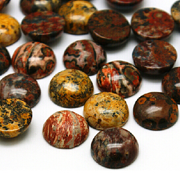 Natural Leopard Skin Cabochons, Half Round/Dome, Colorful, 12x5mm