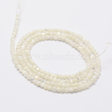 Natural White Shell Beads(G-N0190-11-2mm)-2