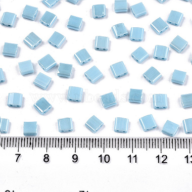 2-Hole Glass Seed Beads(X-SEED-S031-L-ST123)-2