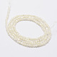 Natural White Shell Beads(G-N0190-11-2mm)-2