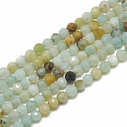 Natural Flower Amazonite Beads Strands, Faceted, Round, 3~3.5mm, Hole: 0.3mm, about 143pcs/strand, 14.9 inch(G-S300-20-3mm)