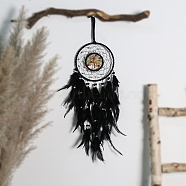 Iron & Reisn Imitation Pearl Woven Web/Net with Feather Pendant Decorations, Flat Round with Tree Wall Hanging, Black, 150mm(PW-WG59818-03)