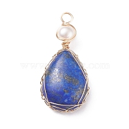 Natural Lapis Lazuli Copper Wire Wrapped Pendants, with Grade A Natural Cultured Freshwater Pearl, Real 18K Gold Plated, Teardrop, 38~43x19~19.5x8~8.5mm, Hole: 3.5~3.8mm(PALLOY-JF01398-01)