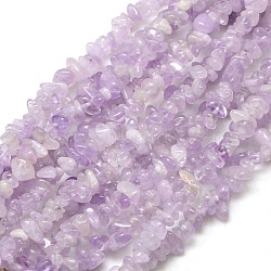 Natural Amethyst Beads Strands, Chips, 6~10x4~6x3~!5mm, Hole: 1mm, about 32 inch(X-G-P035-12)