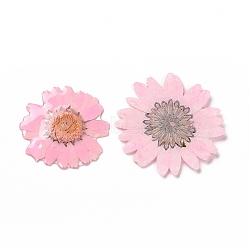 Opaque Resin Flower Cabochons, Chrysanthemum, Pink, 28.5~29.5x1.4mm(RESI-L036-07B)