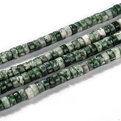 Natural Green Spot Jasper Beads Strands, Flat Round/Disc, 3.8~4.2x2~4.5mm, Hole: 0.8~1mm, about 152~180pcs/strand, 15.1~15.5 inch(38.5~39.5cm)(G-F631-A18)