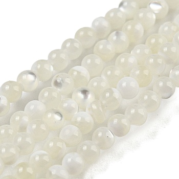 Natural Trochid Shell/Trochus Shell Beads Strands, Round, 2mm, Hole: 0.2mm, about 212pcs/strand, 15.04''(38.2cm)