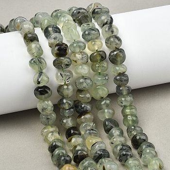 Natural Prehnite Beads Strands, Nuggets, Tumbled Stone, 9~10x8~9x4~6.5mm, Hole: 0.8mm, about 54~55pcs/strand, 15.16''~15.35''(38.5~39cm)