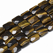 Natural Tiger Eye Bead Strands, Faceted, Rectangle, 11x8x5mm, Hole: 1mm, about 18pcs/strand, 7.8 inch(X-G-T072-01)