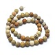 Natural Fossil Coral Beads Strands(G-I254-01B)-2