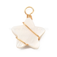 Natural Freshwater Shell Pendants, with Real 18K Gold Plated Eco-Friendly Copper Wire, Star, Creamy White, 24x18x4mm, Hole: 4mm(PALLOY-JF01038)