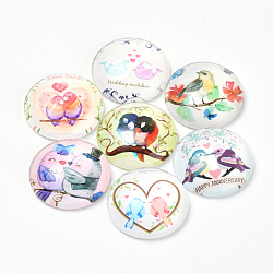 Printed Glass Flat Back Cabochons, Dome/Half Round, Bird Pattern, Mixed Color, 10x3.5mm(GGLA-Q056-011-10mm)